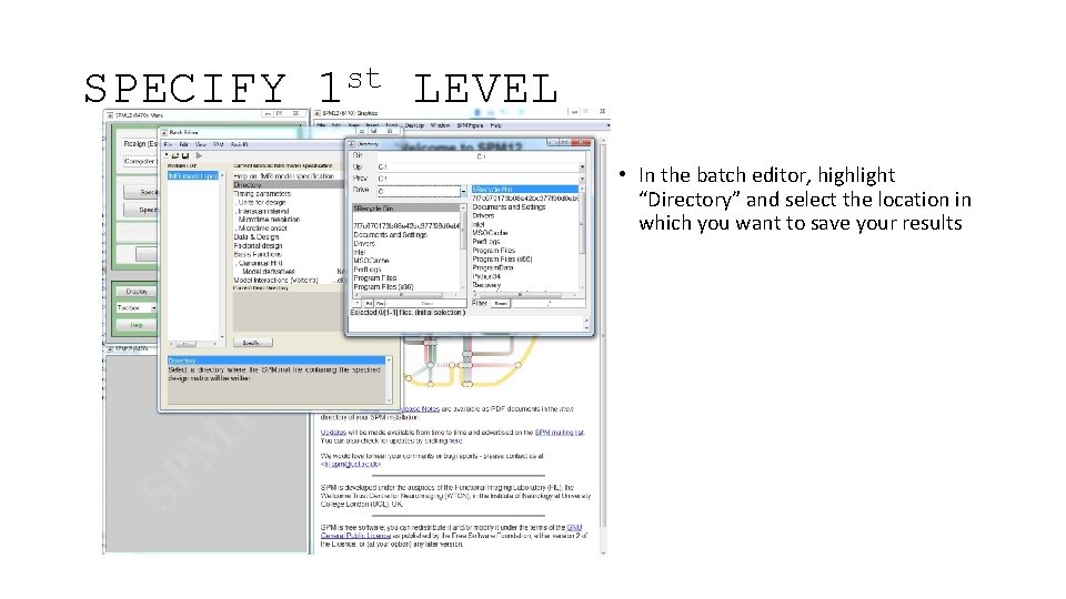 SPECIFY st 1 LEVEL • In the batch editor, highlight “Directory” and select the