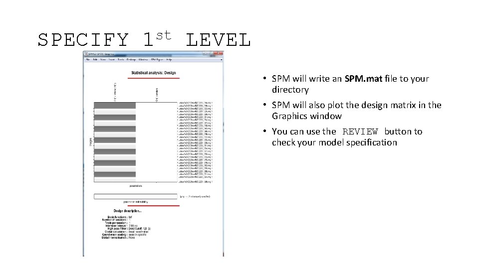 SPECIFY st 1 LEVEL • SPM will write an SPM. mat file to your