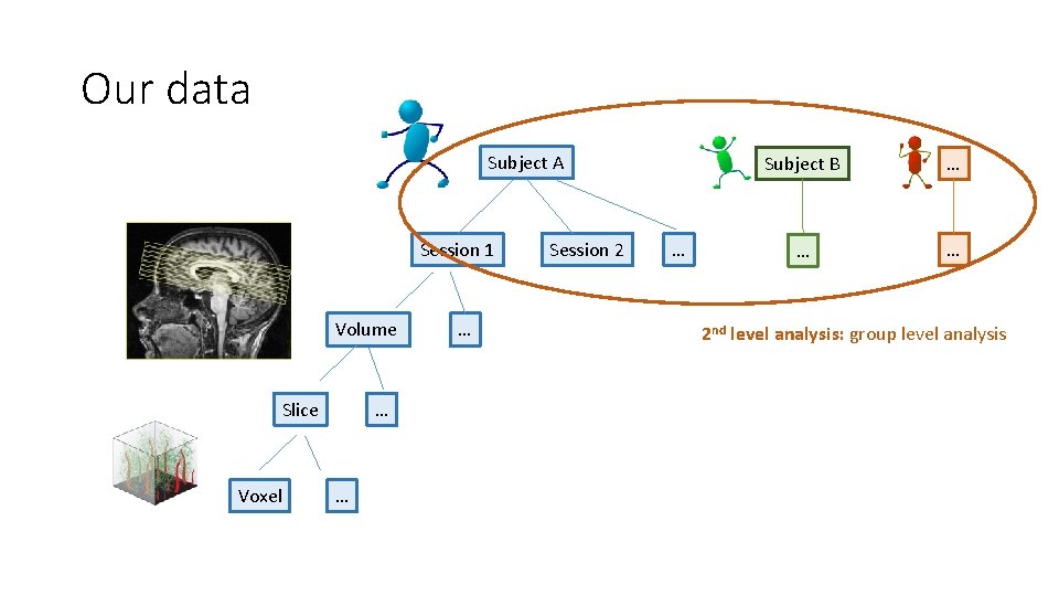 Our data Subject A Session 1 Volume Slice Voxel … … … Session 2