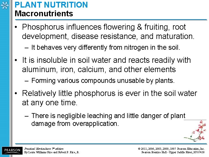 PLANT NUTRITION Macronutrients • Phosphorus influences flowering & fruiting, root development, disease resistance, and