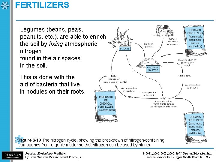 FERTILIZERS Legumes (beans, peanuts, etc. ), are able to enrich the soil by fixing