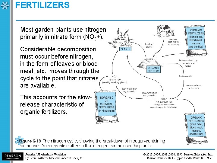 FERTILIZERS Most garden plants use nitrogen primarily in nitrate form (NO 3+). Considerable decomposition