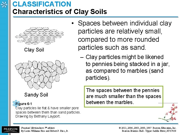 CLASSIFICATION Characteristics of Clay Soils Clay Soil • Spaces between individual clay particles are