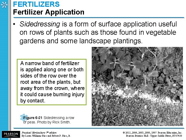 FERTILIZERS Fertilizer Application • Sidedressing is a form of surface application useful on rows