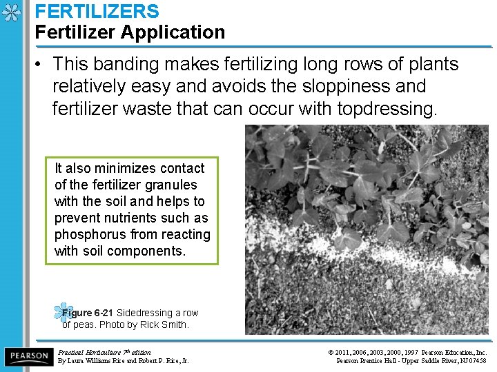 FERTILIZERS Fertilizer Application • This banding makes fertilizing long rows of plants relatively easy