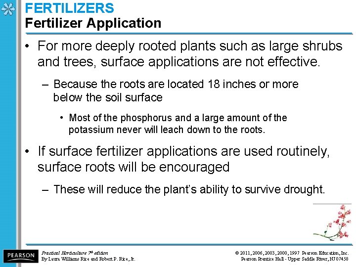 FERTILIZERS Fertilizer Application • For more deeply rooted plants such as large shrubs and