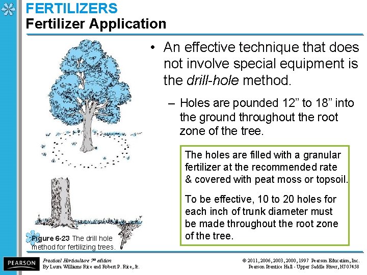 FERTILIZERS Fertilizer Application • An effective technique that does not involve special equipment is