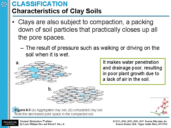 CLASSIFICATION Characteristics of Clay Soils • Clays are also subject to compaction, a packing