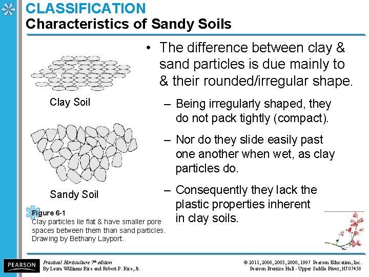CLASSIFICATION Characteristics of Sandy Soils • The difference between clay & sand particles is