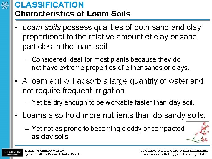 CLASSIFICATION Characteristics of Loam Soils • Loam soils possess qualities of both sand clay