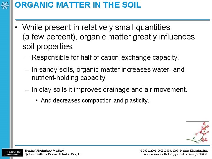 ORGANIC MATTER IN THE SOIL • While present in relatively small quantities (a few