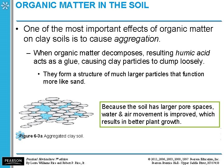 ORGANIC MATTER IN THE SOIL • One of the most important effects of organic