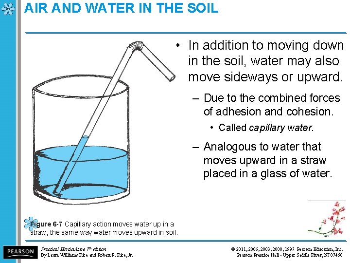 AIR AND WATER IN THE SOIL • In addition to moving down in the