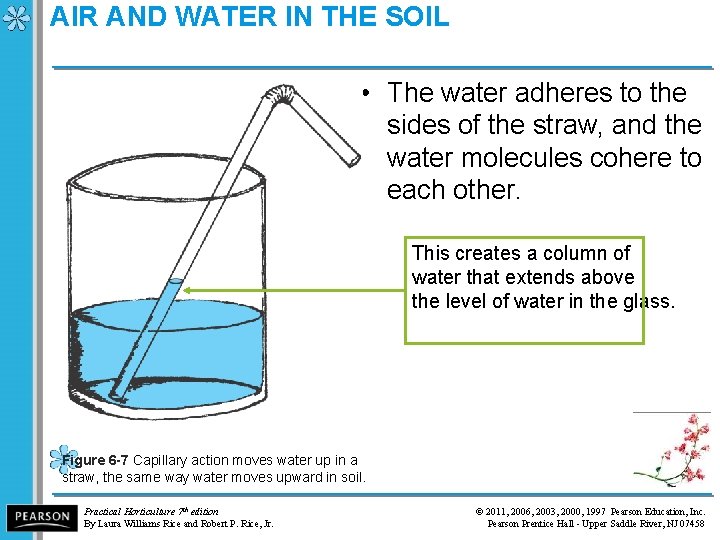 AIR AND WATER IN THE SOIL • The water adheres to the sides of