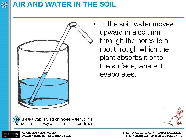 AIR AND WATER IN THE SOIL • In the soil, water moves upward in