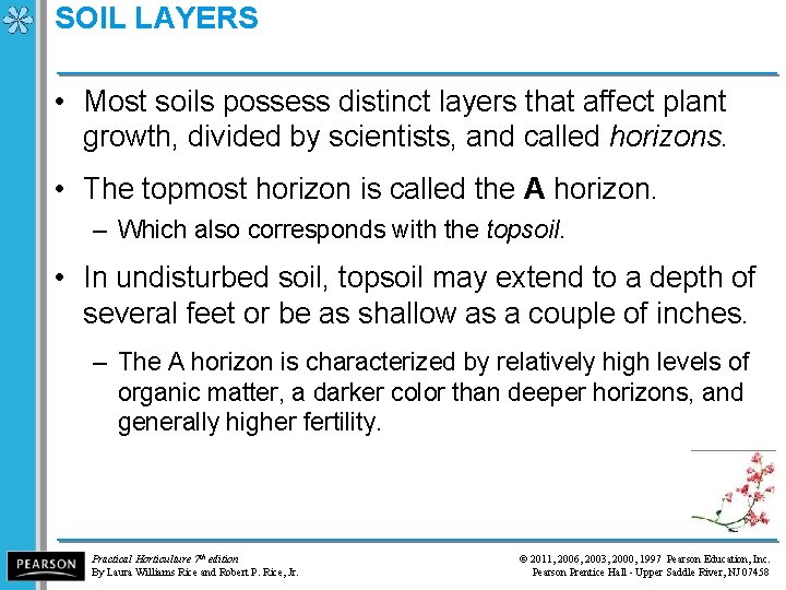 SOIL LAYERS • Most soils possess distinct layers that affect plant growth, divided by