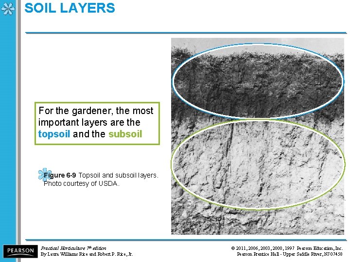 SOIL LAYERS For the gardener, the most important layers are the topsoil and the