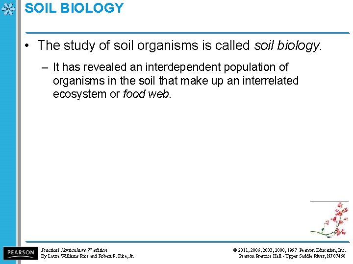 SOIL BIOLOGY • The study of soil organisms is called soil biology. – It
