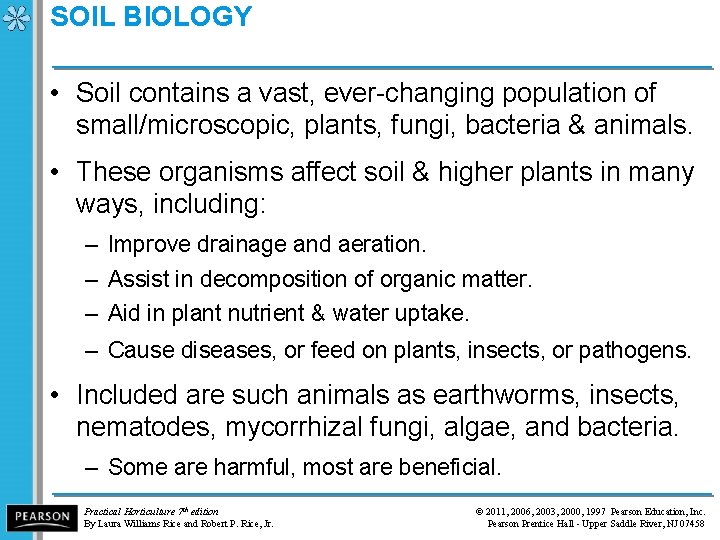 SOIL BIOLOGY • Soil contains a vast, ever-changing population of small/microscopic, plants, fungi, bacteria