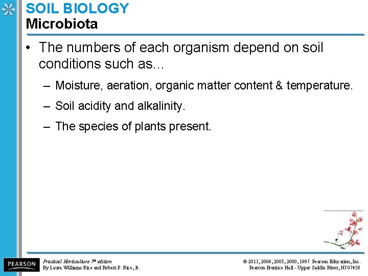 SOIL BIOLOGY Microbiota • The numbers of each organism depend on soil conditions such