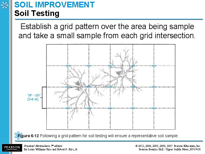 SOIL IMPROVEMENT Soil Testing Establish a grid pattern over the area being sample and