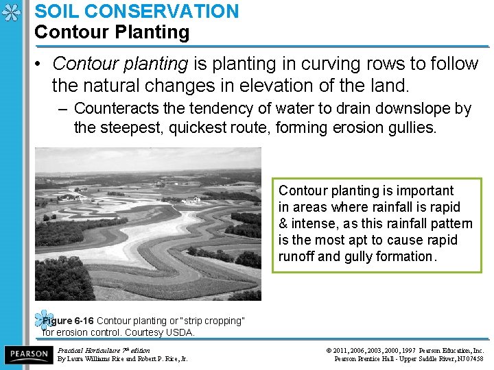 SOIL CONSERVATION Contour Planting • Contour planting is planting in curving rows to follow