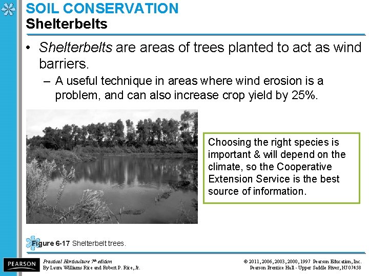 SOIL CONSERVATION Shelterbelts • Shelterbelts areas of trees planted to act as wind barriers.