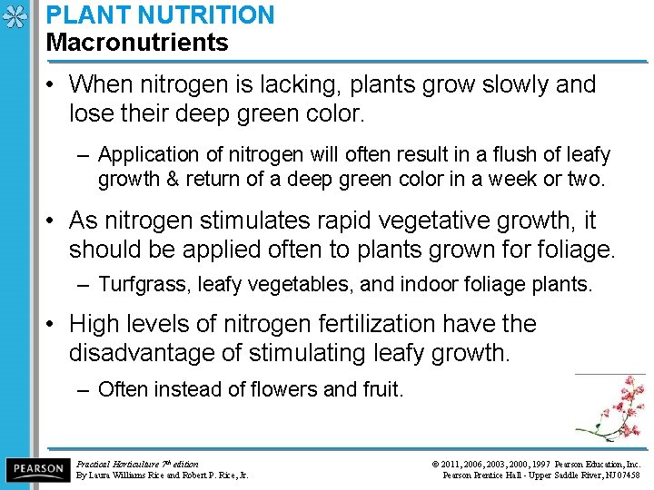PLANT NUTRITION Macronutrients • When nitrogen is lacking, plants grow slowly and lose their