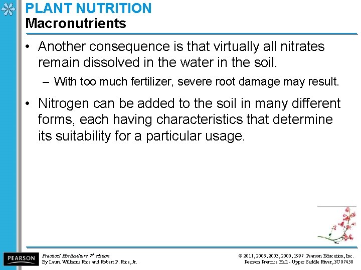 PLANT NUTRITION Macronutrients • Another consequence is that virtually all nitrates remain dissolved in