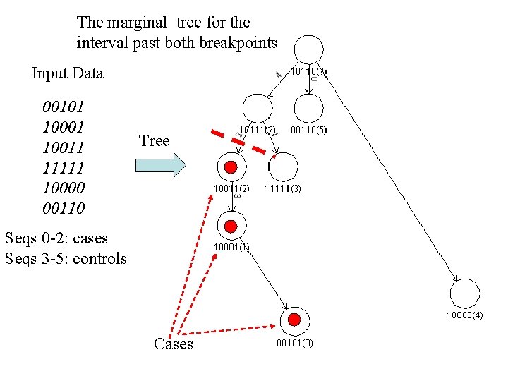 The marginal tree for the interval past both breakpoints Input Data 00101 10011 11111