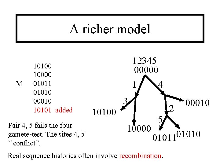 A richer model M 10100 10000 01011 01010 00010 10101 added Pair 4, 5