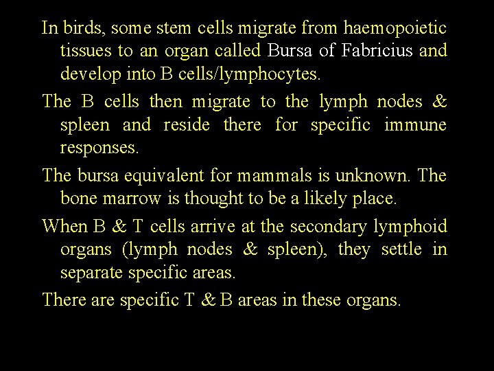 In birds, some stem cells migrate from haemopoietic tissues to an organ called Bursa