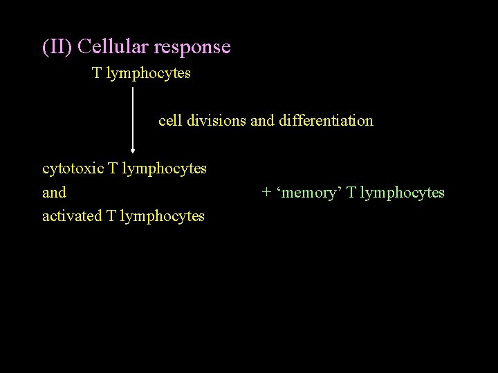 (II) Cellular response T lymphocytes cell divisions and differentiation cytotoxic T lymphocytes and activated