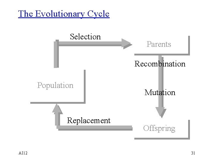 The Evolutionary Cycle Selection Parents Recombination Population Replacement AI 12 Mutation Offspring 31 