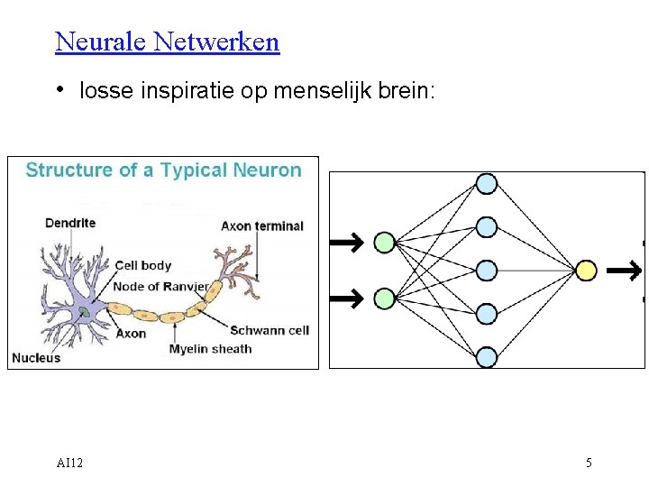 Neurale Netwerken • losse inspiratie op menselijk brein: AI 12 5 