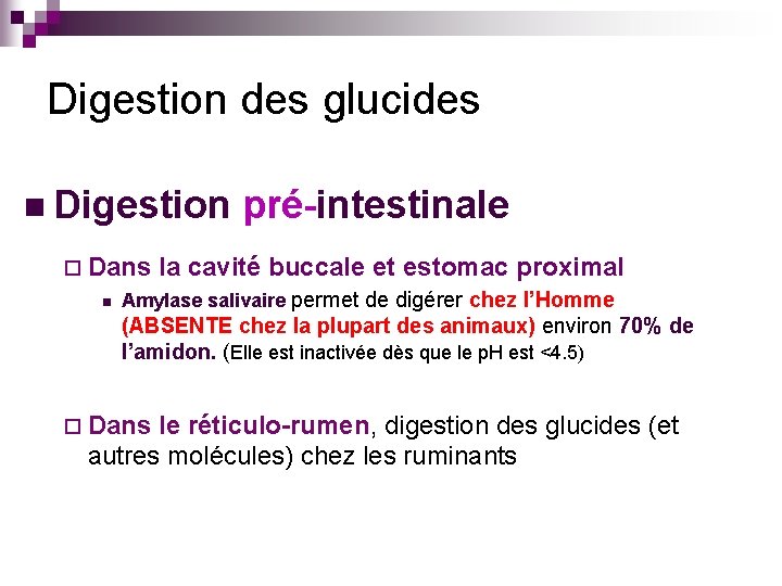 Digestion des glucides n Digestion ¨ Dans n pré-intestinale la cavité buccale et estomac