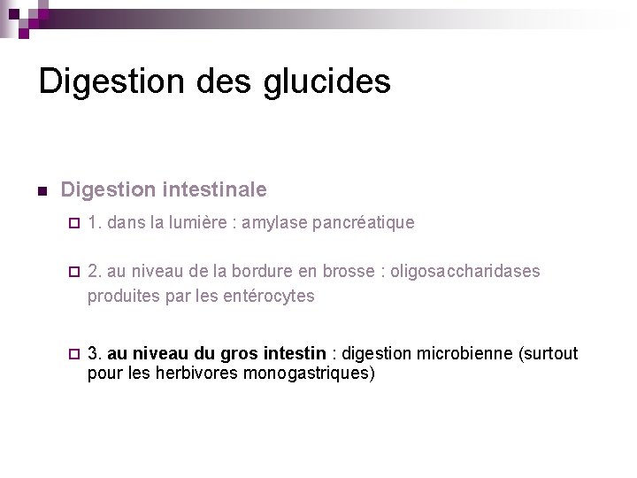 Digestion des glucides n Digestion intestinale ¨ 1. dans la lumière : amylase pancréatique