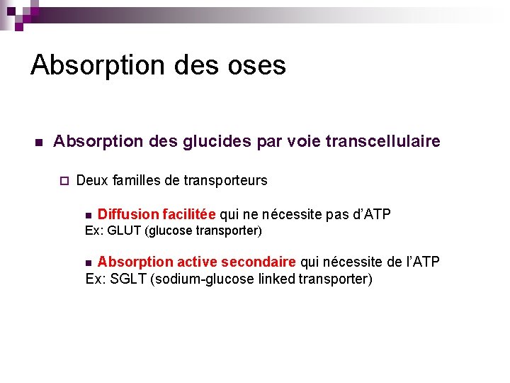 Absorption des oses n Absorption des glucides par voie transcellulaire ¨ Deux familles de