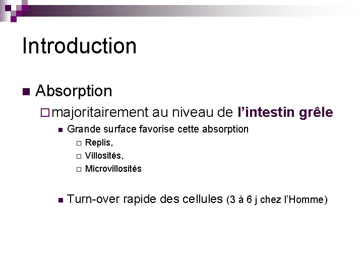 Introduction n Absorption ¨ majoritairement n Grande surface favorise cette absorption ¨ ¨ ¨