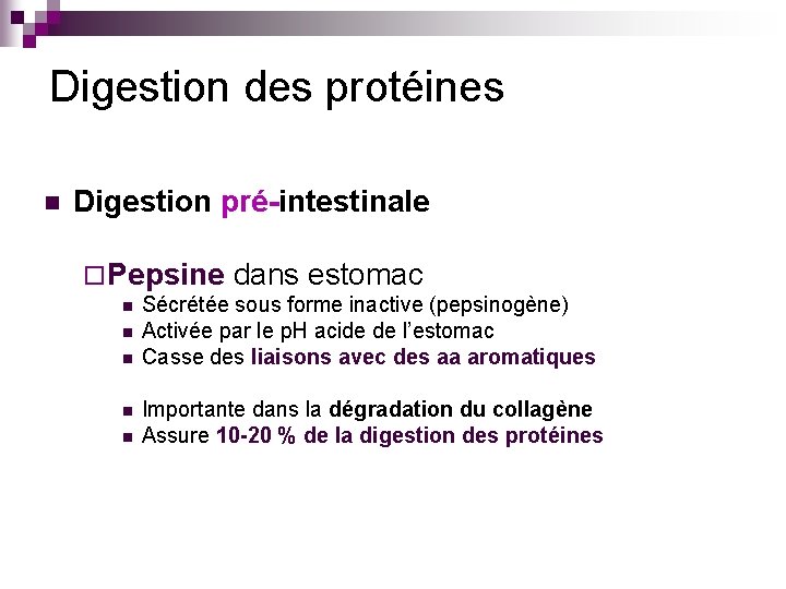 Digestion des protéines n Digestion pré-intestinale ¨ Pepsine n n n dans estomac Sécrétée