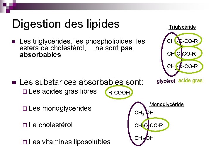 Digestion des lipides n Triglycéride Les triglycérides, les phospholipides, les esters de cholestérol, …