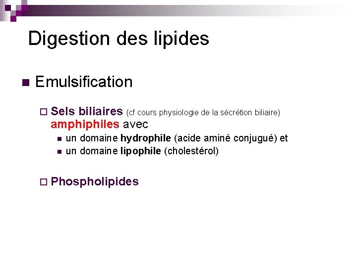 Digestion des lipides n Emulsification ¨ Sels biliaires (cf cours physiologie de la sécrétion