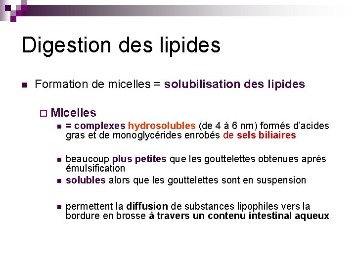 Digestion des lipides n Formation de micelles = solubilisation des lipides ¨ Micelles n