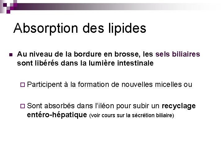 Absorption des lipides n Au niveau de la bordure en brosse, les sels biliaires