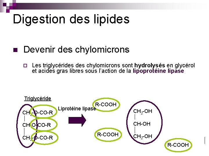 Digestion des lipides n Devenir des chylomicrons ¨ Les triglycérides chylomicrons sont hydrolysés en