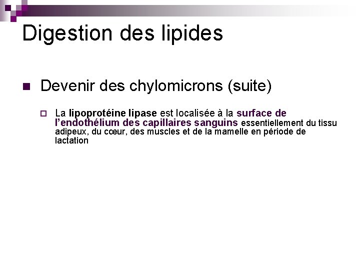 Digestion des lipides n Devenir des chylomicrons (suite) ¨ La lipoprotéine lipase est localisée