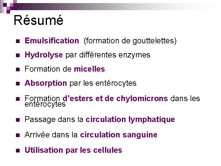 Résumé n Emulsification (formation de gouttelettes) n Hydrolyse par différentes enzymes n Formation de