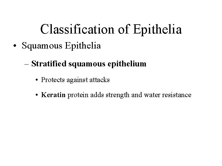 Classification of Epithelia • Squamous Epithelia – Stratified squamous epithelium • Protects against attacks