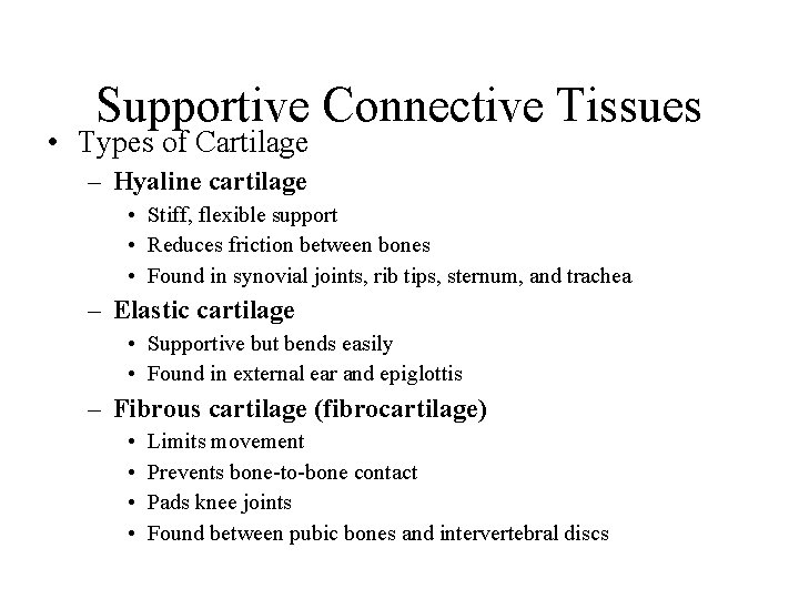 Supportive Connective Tissues • Types of Cartilage – Hyaline cartilage • Stiff, flexible support