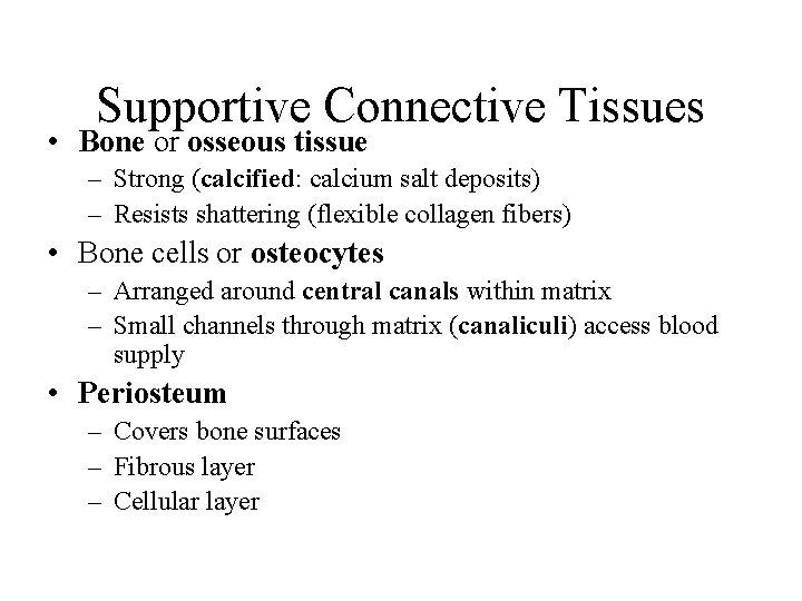 Supportive Connective Tissues • Bone or osseous tissue – Strong (calcified: calcium salt deposits)